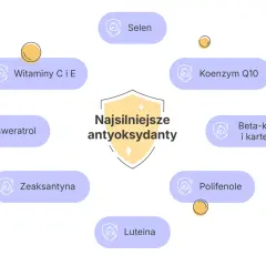 Co to są antyoksydanty? Diagram przedstawia najsilniejsze antyoksydanty: witaminy C i E, selen, koenzym Q10, beta-karoten, polifenole, luteinę, zeaksantynę i resweratrol.