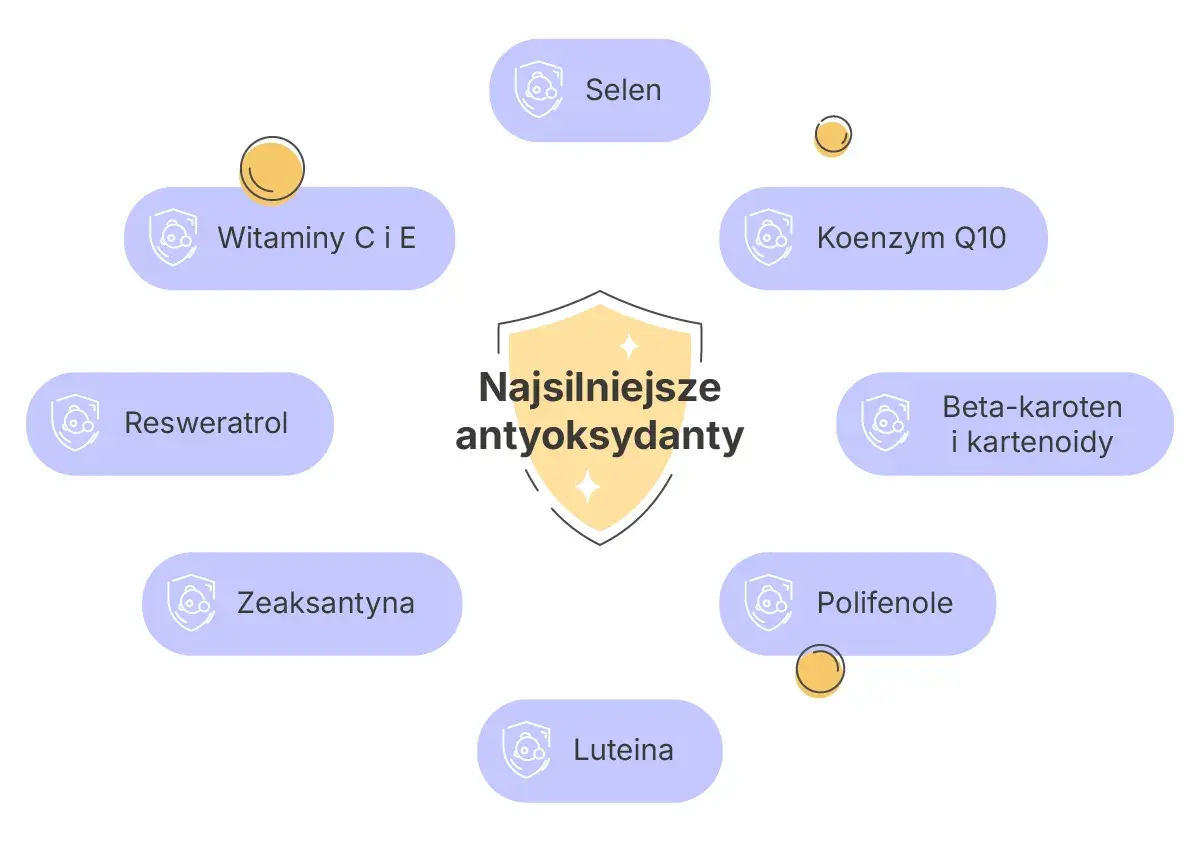 Co to są antyoksydanty? Diagram przedstawia najsilniejsze antyoksydanty: witaminy C i E, selen, koenzym Q10, beta-karoten, polifenole, luteinę, zeaksantynę i resweratrol.